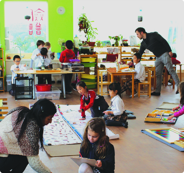elementary-6-12y-02 elementary-6-12y-montessori-ib-pyp
